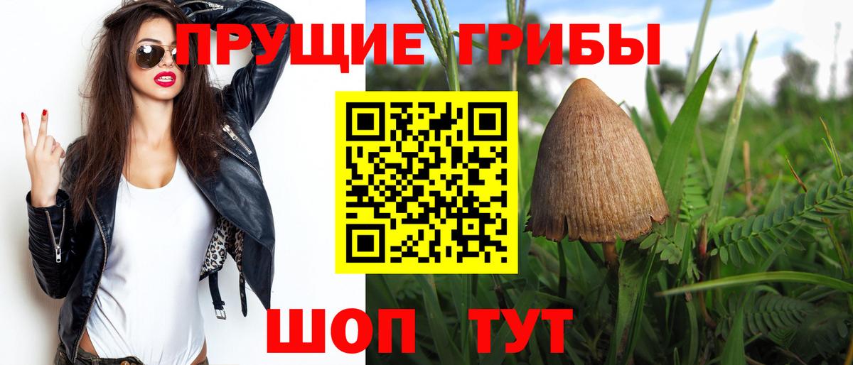 Псилоцибиновые грибы GOLDEN TEACHER Протвино