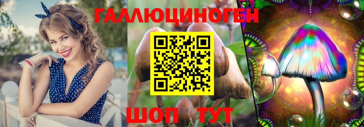 Протвино  Псилоцибиновые грибы Cubensis  магазин продажи   Вход с VPN  Галлюциногенные грибы MAGIC MUSHROOMS 